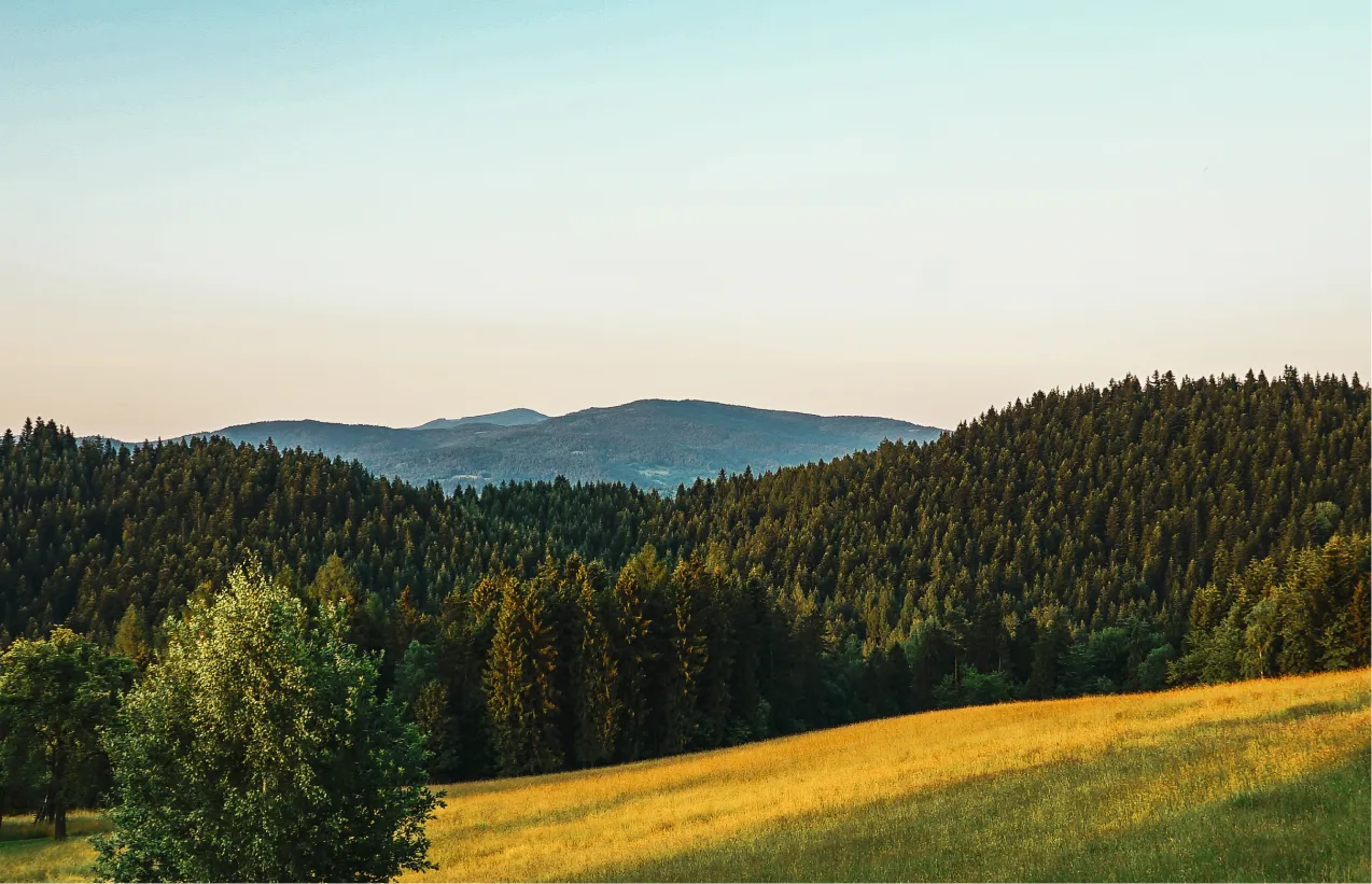 Odkryj Beskid Wyspowy