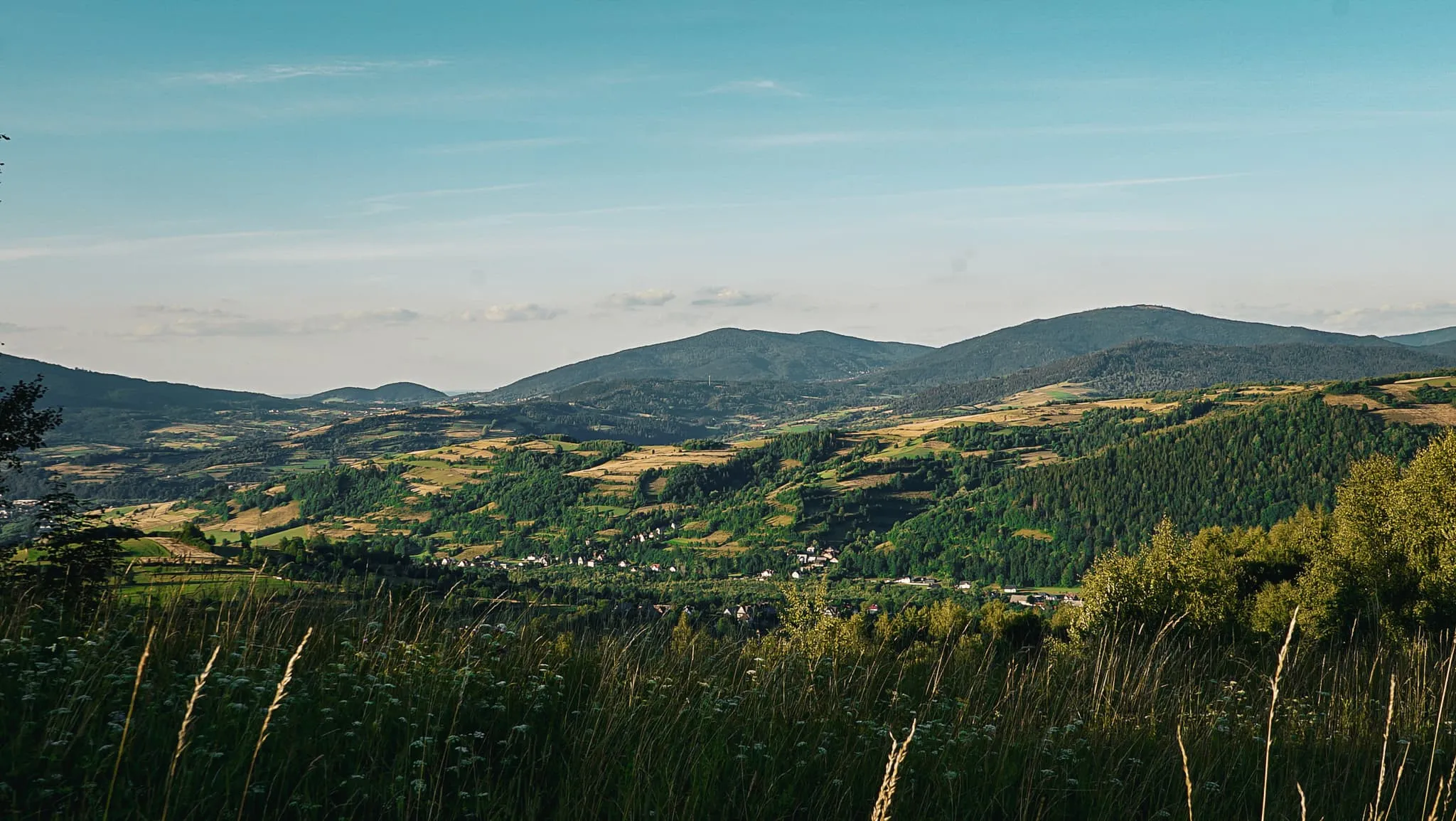 Panorama Gorców i Beskidu Wyspowego widziana z górskiej łąki
