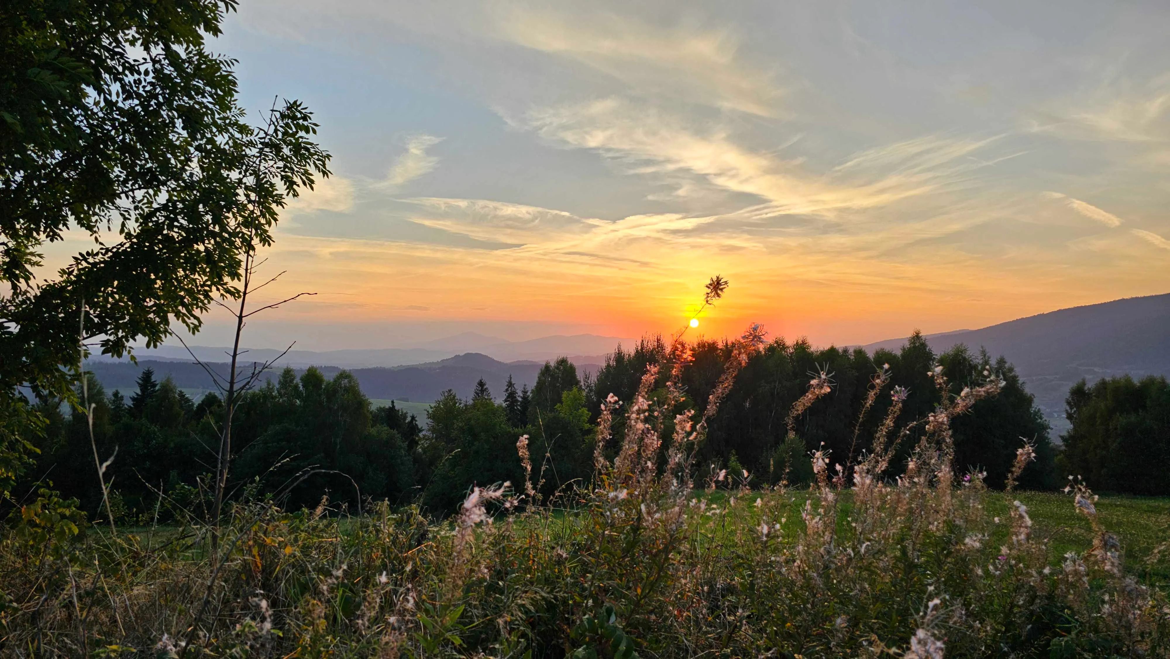 Gorce – views